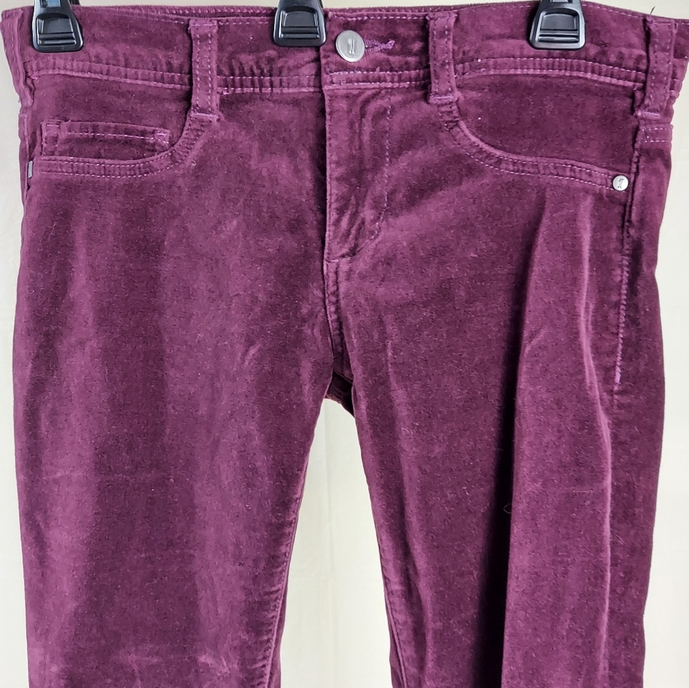ANTHRO Mid-Rise Skinny Stet Pants Retro